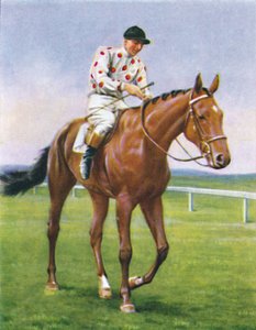 Foxbrough II, Jockey: P. Beasley