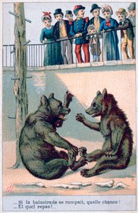 Französische zoologische Postkarte, 19. Jahrhundert