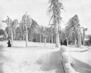 Frostarbeit im Prospect Park, Niagara, USA, ca. 1900 von Unbekannt