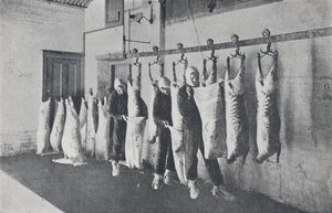 Gefrorenes Fleisch, 1923