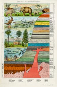 Geologie und Paläontologie