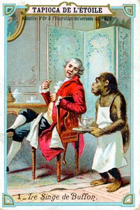 George-Louis Leclerc, Comte de Buffon, französischer Naturforscher des 18. Jahrhunderts, um 1890