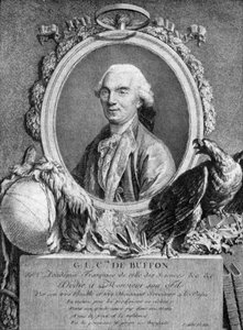 Georges-Louis Leclerc, Comte de Buffon, französischer Naturforscher, 18. Jahrhundert von Unbekannt