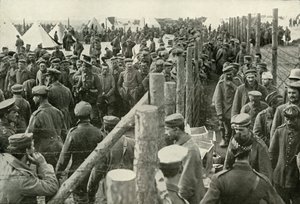 Deutsche Gefangene betreten die Käfige, 1919