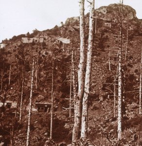 Deutsche Linien, ca. 1914-ca. 1918