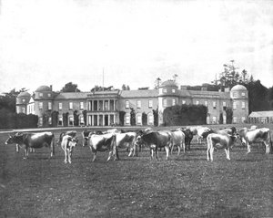 Goodwood, Hampshire, 1894 von Unbekannt