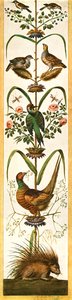 Groteske Malereien aus den Loggien des Vatikans, Rom, Italien, 1928