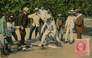 Habana: Rina de Gallos. Hahnenkampf, 1918