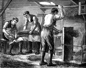 Handschaber bei der Arbeit, um 1880