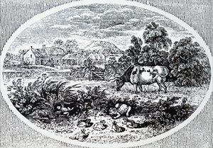 Kopfstück von Thomas Bewick