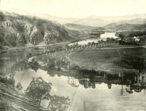 Hopfengärten in Tasmanien, 1901