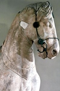 Pferd, Quadriga des Mausoleums von Halikarnassos, 350 v. Chr.