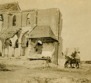 Pferde weiden in der Nähe einer zerstörten Kirche, Frise, Nordfrankreich, ca. 1914-1918 von Unbekannt