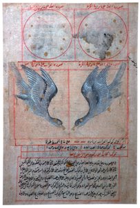 Illustration der Sternbilder der südlichen Hemisphäre, 16. Jahrhundert