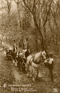 Im schattigen Wald, späte 19. oder frühes 20. Jahrhundert