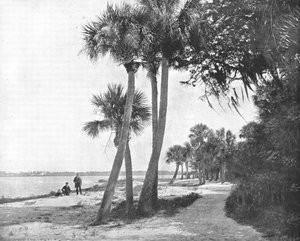 Indian River, Florida, USA, ca. 1900 von Unbekannt