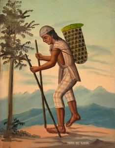 Indio Saparo, vor 1914 von Unbekannt