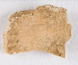Beschriftetes Knochenfragment Orakelknochen, Späte Shang-Dynastie, ca. 1300-1050 v. Chr. von Unbekannt