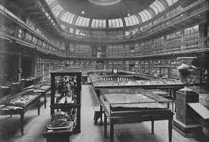 Innenraum des Geologischen Museums, Jermyn Street, 1904