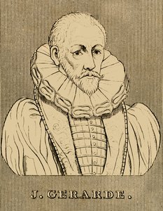 J. Gerarde, ca. 1545-1612, 1830