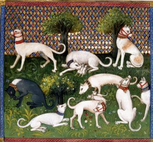 Jagdhunde (Alan) aus dem Livre de la Chasse von Unbekannt