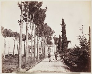 Jellallabad Der Gartenweg des Amir