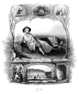 Johann Wolfgang von Goethe, deutscher Dichter, Dramatiker und Wissenschaftler, 19. Jahrhundert