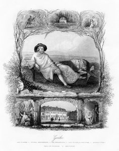 Johann Wolfgang von Goethe, deutscher Dichter, Dramatiker und Wissenschaftler, 19. Jahrhundert