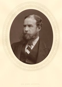 John Lubbock, erster Baron Avebury, englischer Bankier, Archäologe, Naturforscher und Politiker, um 1880 von Unbekannt