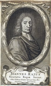 John Ray (Wray), englischer Naturforscher, ca. 1700 von Unbekannt