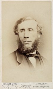 John Tyndall, irischer Physiker, um 1875