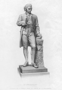 Joseph Priestley, englischer Chemiker und presbyterianischer Pfarrer, 19. Jahrhundert