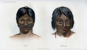Juri und Botocudos, der Brasilio-Guarani-Nation, 1848 von Unbekannt