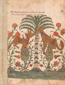 Kalila tadelt Dimna, Folio aus einem Kalila wa Dimna, 18. Jahrhundert von Unbekannt