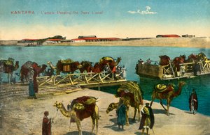 Kantara - Kamele passieren den Suezkanal, um 1918-1939