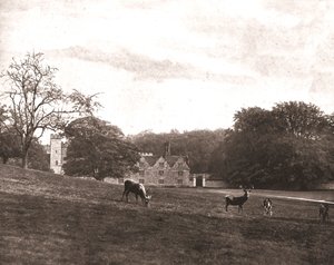 Knole Park, Sevenoaks, Kent von Unbekannt