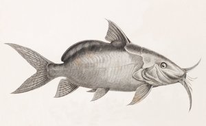 Der Pimedlode Guemel (Nahaufnahme)