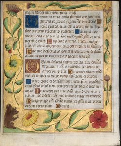 Blatt aus einem Psalter und Gebetbuch: Ornamentaler Rand mit Blumen und Eichhörnchen verso, um 1524