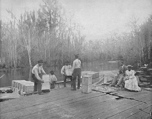 Orangenverladung am Ocklawaha River, Florida, ca. 1897 von Unbekannt