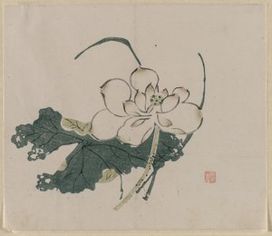 Lotusblüte, 1368-1644