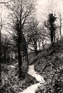 Lovers Lane, Fairlight, Hastings, Sussex von Unbekannt