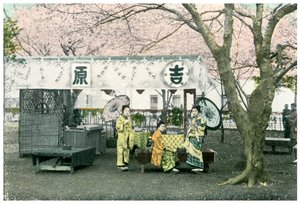 Imbissstand in einem öffentlichen Park, Japan, 1904 von Unbekannt