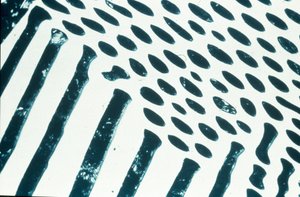 Metalle, Eisenhaltig, LM Weißes Gusseisen