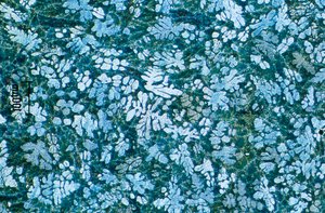 Metalle, Eisenmetalle, LM Zinkdruckguss (geätzt)