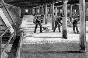 Mälzboden in einer amerikanischen Brauerei, 1885