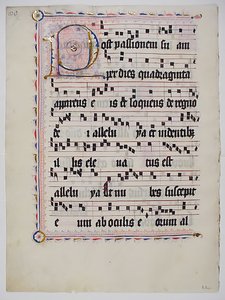 Manuskriptblatt mit Initiale P, aus einem Antiphonar, deutsch, zweites Viertel des 15. Jahrhunderts von Unbekannt