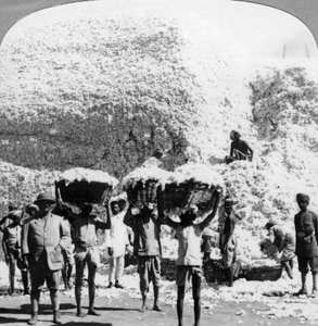 Männer tragen Baumwollkörbe in einer Baumwollspinnerei in Indore, Indien, 1900er von Unbekannt