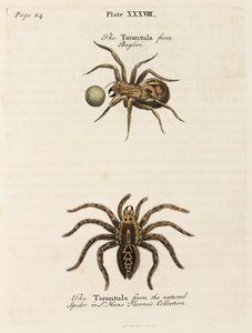 Mikroskopie von Unbekannt