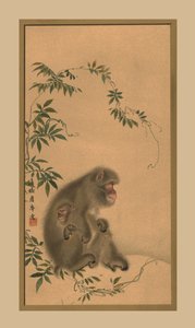 Affe, 19. Jahrhundert, 1886