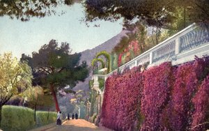Monte Carlo
